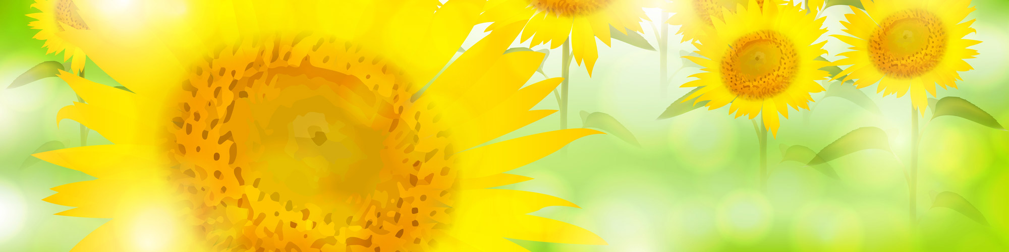 イメージ イメージ